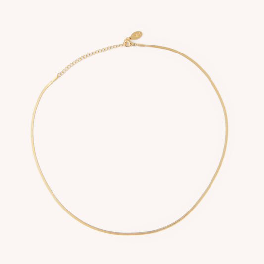 Ally Bea x Micro Gold Herringbone Necklace
